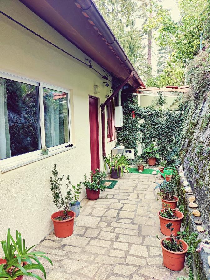 Monteiro'S Geres Countryhouse Ferral المظهر الخارجي الصورة